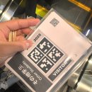 프라하동물병원 | 짧은 12월 정리 겸 연말결산 2025