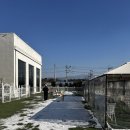 몽드드뚜뚜 | 대형견도 신나게 뛰어놀 수 있는 포천 몽드드뚜뚜 애견카페 완벽 리뷰