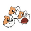 호두앤미 남위례역점