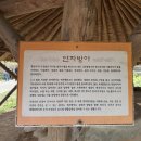 장등마을회관 | &#39;거북이마을, 유기방가옥&#39; 충남 홍성, 서산 수선화 축제(3월 30일) 다녀온 후기+주차정보, 입장료...