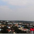 온평리-10 이미지