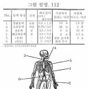 칼에 찔렸을때 부위별 사망하는 시간이라고 하지라 이미지