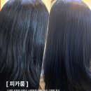 S.L.C(에스엘씨) | 대전 지족동 미용실 피카룸 | 시현원장님 레이어드 C컬펌 후기