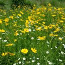 나루쉼터화장실 이미지