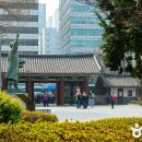 함성이 머문 자리, 서울 종로 ‘독립의 불꽃’ 산책 이미지