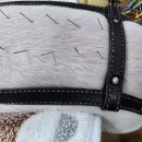 두암동물병원 이미지