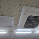 맘모스약국 이미지