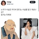 노자가 사실은 카디비 였다는 사실을 알고 계셨나요? 이미지