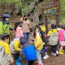 만천유치원 이미지