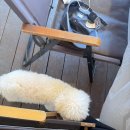 용인 바베큐팩토리 후기 🐶 강아지 동반 맛집 | 에버랜드 근처 애견동반 캠핑감성 BBQ