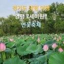 사상구청소년수련관 | [경기도 양평 가볼만한곳] 양평 물과 꽃의 정원 &#34;세미원&#34; 연꽃 축제