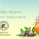 럭스하니