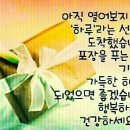 새만금 청보리농장 이미지