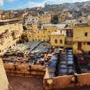 나무메디 이미지