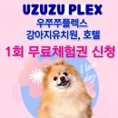 우쭈쭈플렉스 강아지 미용 이미지