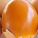 미래팜스 이미지