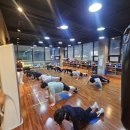 캥거루복싱GYM 이미지