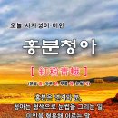 푸를 홍 네이버블로그