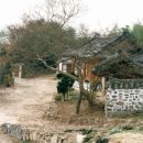 따뜻한 인간애 표현한 삼당시인 백광훈 이야기입니다. (펌글)