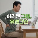 김남형농장 | [26년 진료] 대전 원신흥동에서 허리디스크, 신경차단술 부작용 없는 요추 디스크 염증 극복기