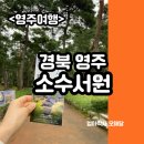 소수서원 관련 고문서 | 여름, 가을에 가면 좋을 영주여행 아이랑 함께한 소수서원