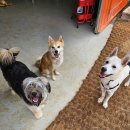 멍스 컨테이너 이미지