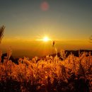 황매산군립공원 이미지