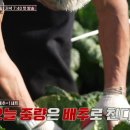 정선헬스 bnt뉴스