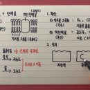 삼투