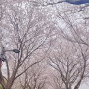 사덕상리 이미지