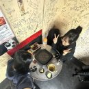 마라전설 경희대점 이미지