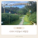 시리미로 | [강화] 다양한 놀이를 아이와 함께 자연에서 즐기는 시리미 자연놀이 체험장 방문 후기