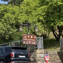 토요상설공연 <숲속열린음악회 with 이현공원> Part 5 | 밀양여행코스 영남루 아이랑 갈만한 곳 후기(+주말 공연)