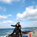 투어제주