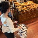 유성대로(유성-32) | [효징이 여행]성심당 가려고 다녀온 대전 1박2일(2026.07.19-20)