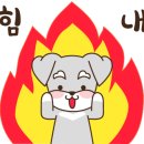 고운왁싱 이미지
