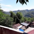 숲속의작은마을 이미지