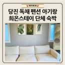 흥스테이 | [당진/펜션] 단체 가족 독채 펜션 아기랑 희온스테이 내돈내산