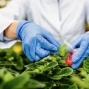 재난예방안전관리사 자격증 과정 이미지