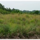 예천목장 이미지