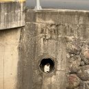 대일농장한우전문식당 | 따뜻한 오후에 월광수변공원 산책_도케비 커피_도원동 예스런 한우