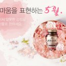 달만사