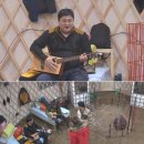 애니멀즈 이미지