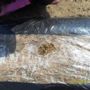 백련가든 이미지