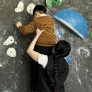 라온온누리약국 | 26년도 짝수년생 건강검진(위+대장)내시경 준비, 마운자로 4주차 후기 (진행중)