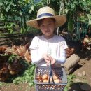 소재덕농장 이미지