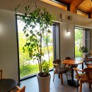 오테힐 게스트하우스 이미지