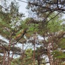 한천 마을회관 이미지