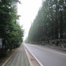 삼작로 Daum카페