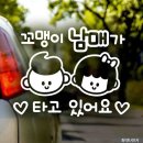 고령차유리 이미지